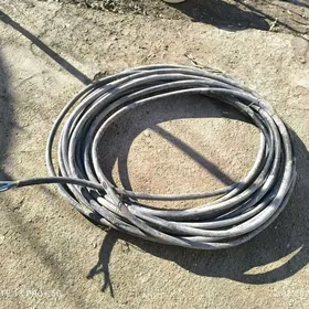 Kabel mis 25-lik