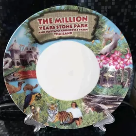 Тарелка.  Сувенир Черепашка.