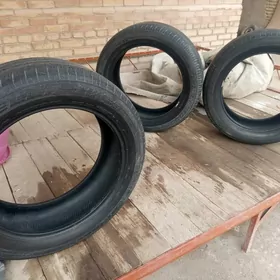 пакришка 19 лык