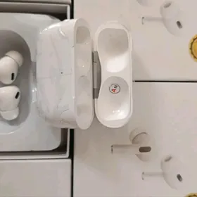 arzanladyş nauşnikler