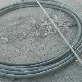 plasmas turba slanga