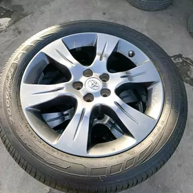 sienna disge pakrişga 19