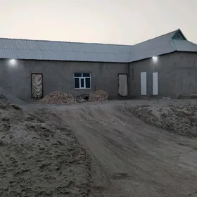 Ýaşamak üçin kreyine jay