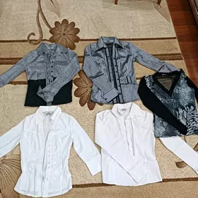 рубашки, блузки