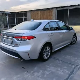 Toyota Corolla 2020