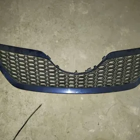 öküz kelle abelsowka amerkanka