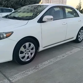 Toyota Corolla 2009