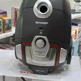 TOZAN SORUJYLAR.  (PYLESOSLAR)