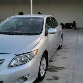 Toyota Corolla 2008