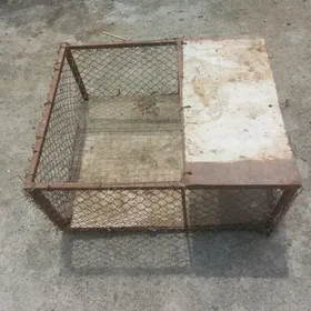 towuk juje ucun yessik