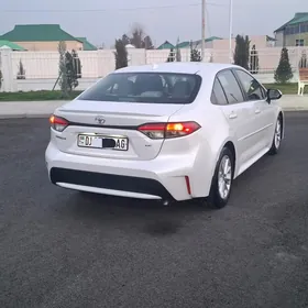 Toyota Corolla 2020