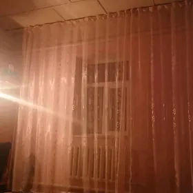 kreyine jay berilyar.