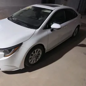 Toyota Corolla 2023