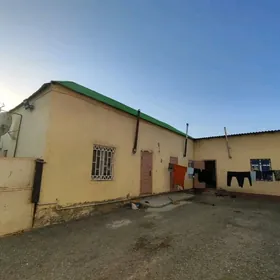 Çoganly Amatlyja taÿynjak jaÿ