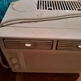 kalsaner vintelyatyr taçyla