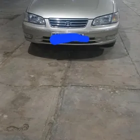 Toyota Camry 2001