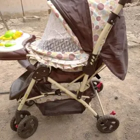 чага каляска