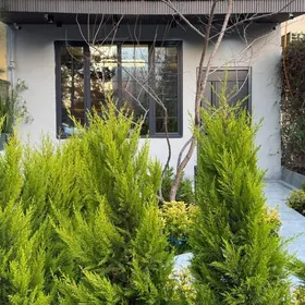 9 мкр 3 комнаты 1 этаж