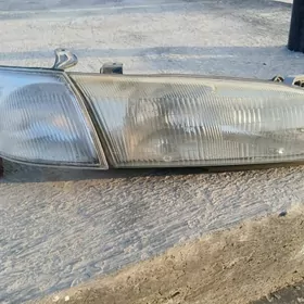 lisiçka fara öňki sag