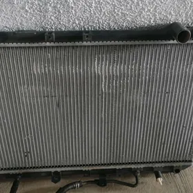 radiator babyçka. 3lik morda