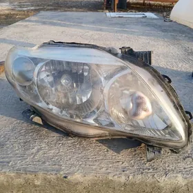 Corolla fara sag tarap