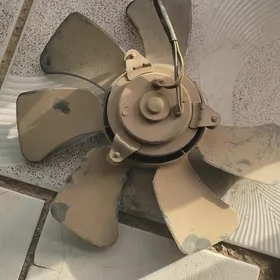 Matorjik avat ishlap dur