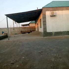 Magtimkuli 8sotúk plan