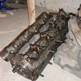 opel vita wita galofga saylsry