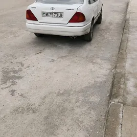 Toyota Corolla 1995