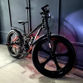 Disgaly tokga tigir.