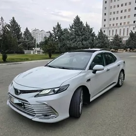Toyota Camry 2020