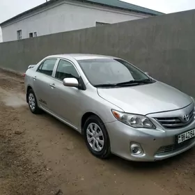 Toyota Corolla 2010