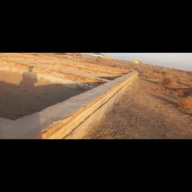 меллек сатыляр