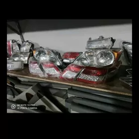 2010 kamry yzky cyra stopnik