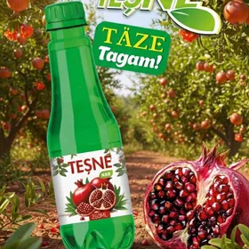 Торговы агент- мерчендайзер