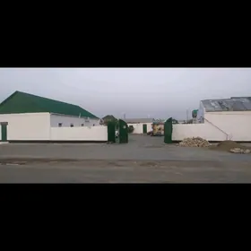 Arenda Jaý Kamp.15 adam.