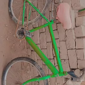 weleseped turkmenistan