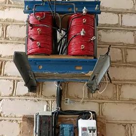 Tok Kopeltyan Ток