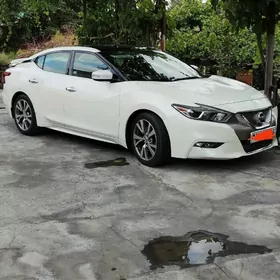Nissan Maxima 2019