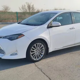 Toyota Corolla 2019