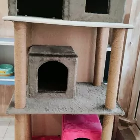 pisik ün, для кошек