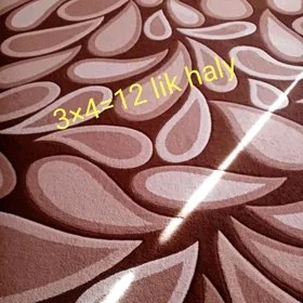 Öy üçin halylar...