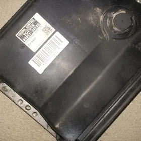 okuz kelle kopyuter haliji