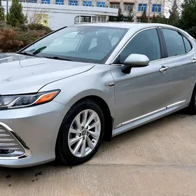 Toyota Camry 2021