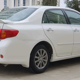 Toyota Corolla 2010