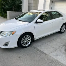 Toyota Camry 2014