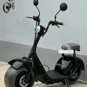 TIGIR SAMAKAT MATOR MAGAZYN