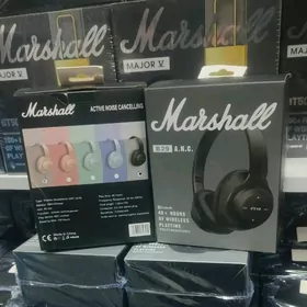 arzanladyş nauşnikler