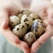 BEDENE WE TOWUK  YUM