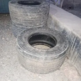 19.5 435.50 Üç sany